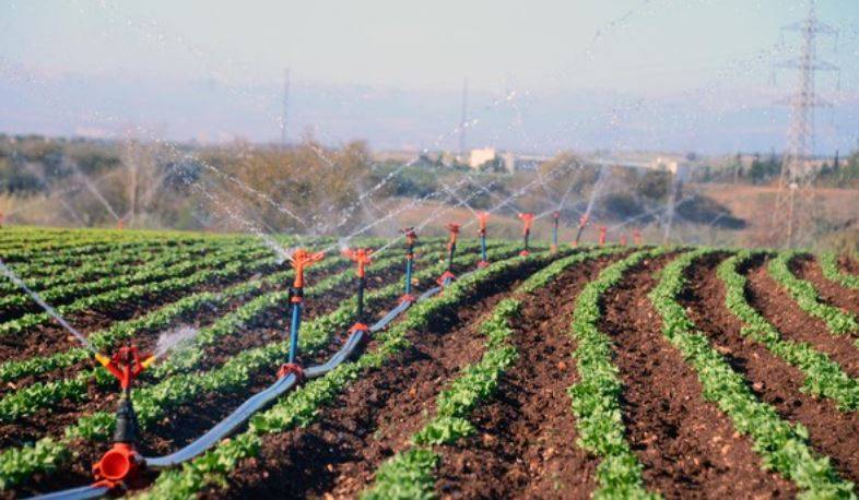 Tarım ÜFE Ağustos’ta Düşüş Yaşandı!