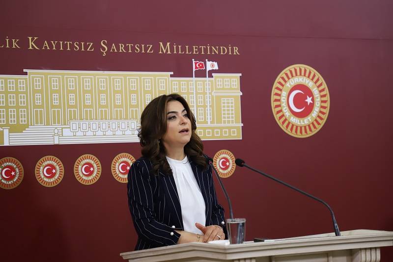 DEM Parti'li Koçyiğit'ten 'Terörsüz Türkiye' sürecine ilişkin kritik açıklama!