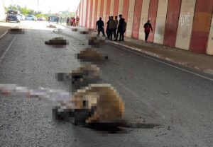 Sürüye dalan otomobil ortalığı savaş alanına çevirdi!