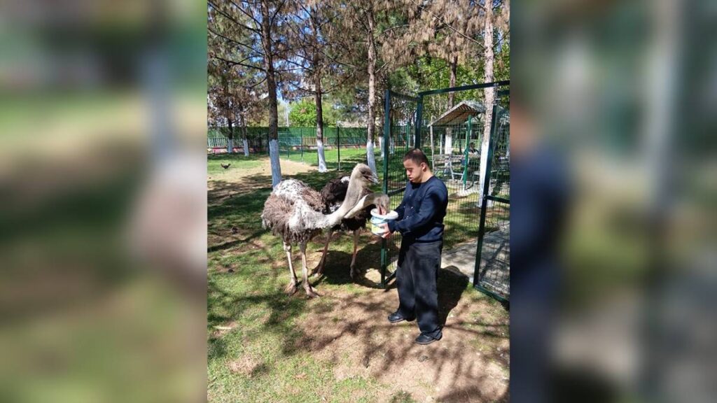 Urfa'da özel bireyler için hayvan destekli rehabilitasyon!